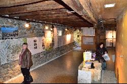 Riehl-Ausstellung im Apostelhaus in Klausen